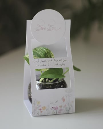 توزيعات بوتس حجم صغير مع حامل ورقي بتصميم حسب اختيارك