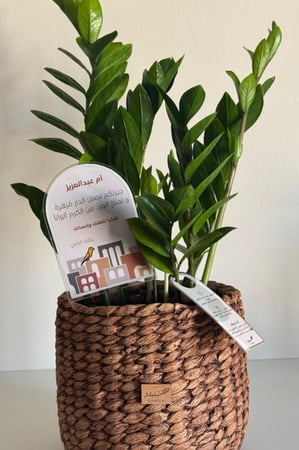 تغريسة اكريلك - تصميم ملون حسب الطلب