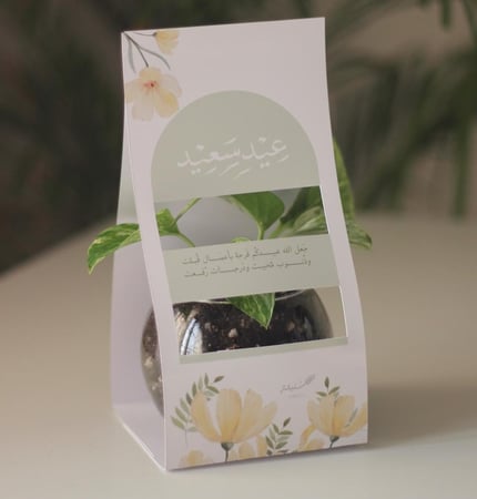 توزيعات بوتس حجم متوسط بثيم العيد