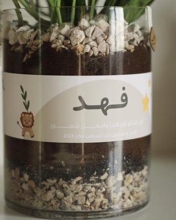 نبات البوتس - طباعة حسب الطلب - مجموعة سدف