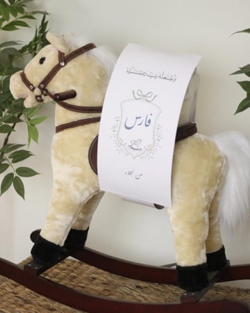 هدية مواليد حصان هزاز مع سلة ملابس و مستلزمات الطفل