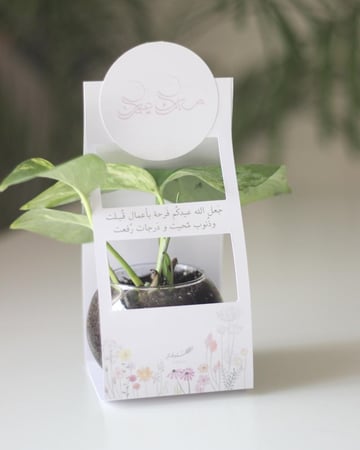 توزيعات بوتس حجم صغير مع حامل ورقي بتصميم حسب اختيارك