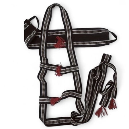 جنايب الابل