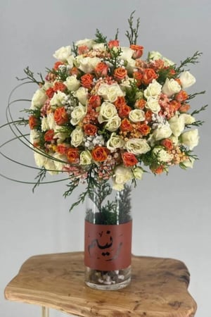 فازة بيبي روز