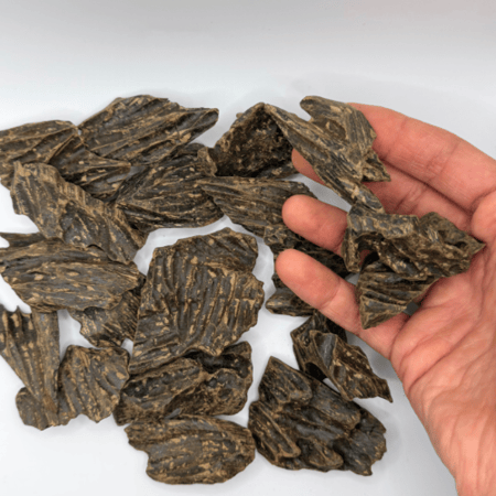 عرض الأربع أوقيات + هدية