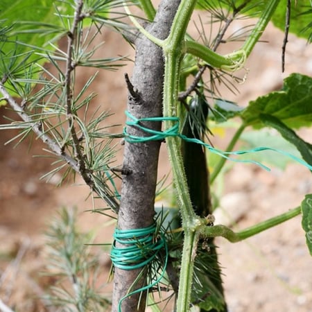 سلك تربيط للنباتات 50 متر