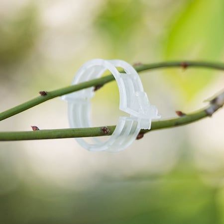 تعديل وتثبيت اغصان النبات 100 قطعة