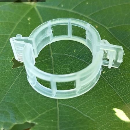 تعديل وتثبيت اغصان النبات 100 قطعة