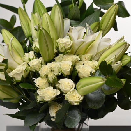 فازة ورد - سكاي