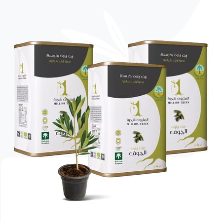 زيت زيتون بكر ممتاز عضوي ١٢ لتر مقسم في ٣ من  العبوات مزارع الليون شجرة  في الجوف