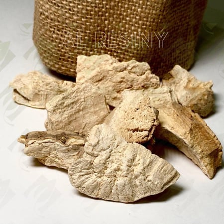عود قسط ابيض