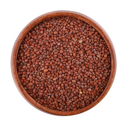 بذور الفجل