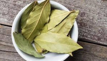 ورق غار  / سوري
