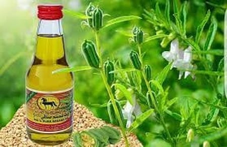 زيت السمسم ابوحصان