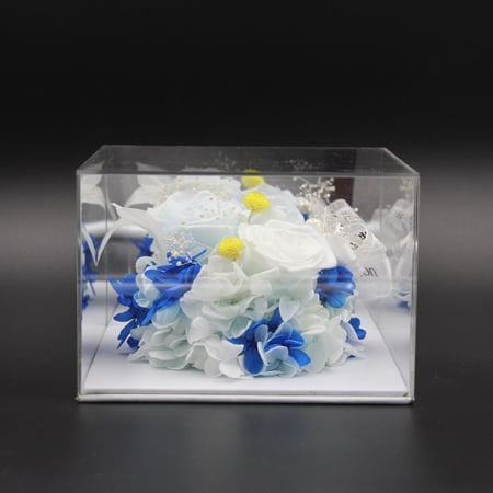 نبات زينة مجفف في قالب اكليرك