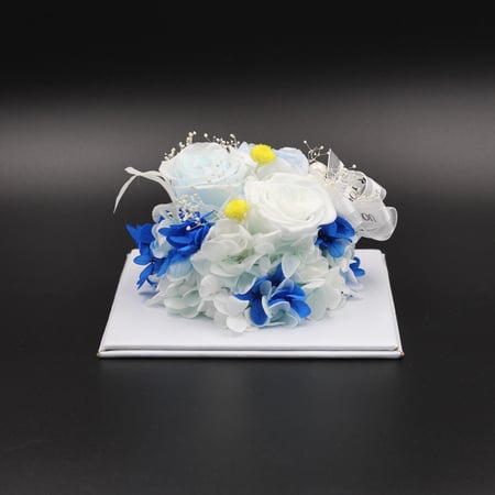 نبات زينة مجفف في قالب اكليرك