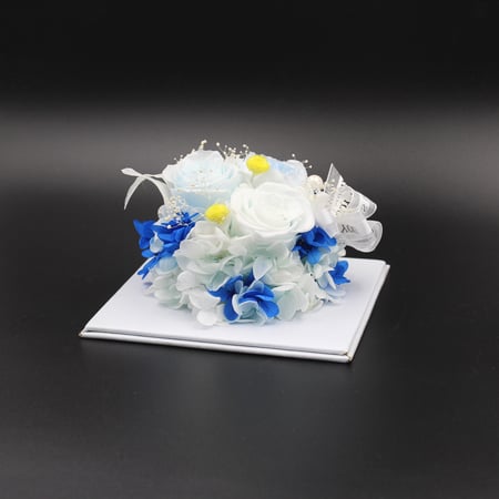 نبات زينة مجفف في قالب اكليرك