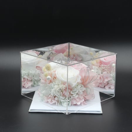 نبات زينة مجفف في قالب اكليرك