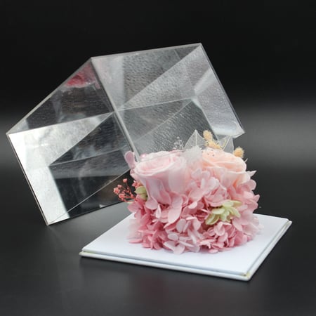 نبات زينة مجفف في قالب اكليرك