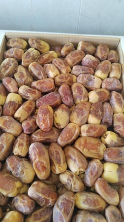 كرتون تمر صقعي فاخر تمور صقعي طبيعية عالية الجودة السندي للتمور