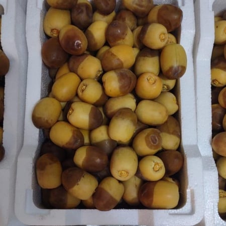 فلين تمر طازج هش ومقرمش بنكهة طبيعية من السندي للتمور.