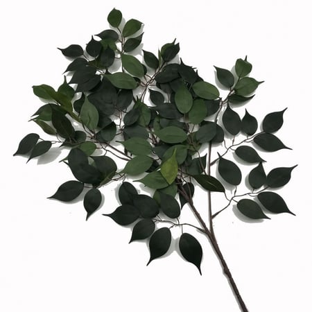 درزن أغصان فايكس (12 غصن)