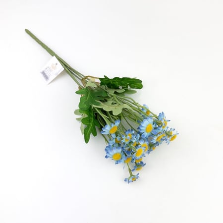 تباع الشمس بيبي