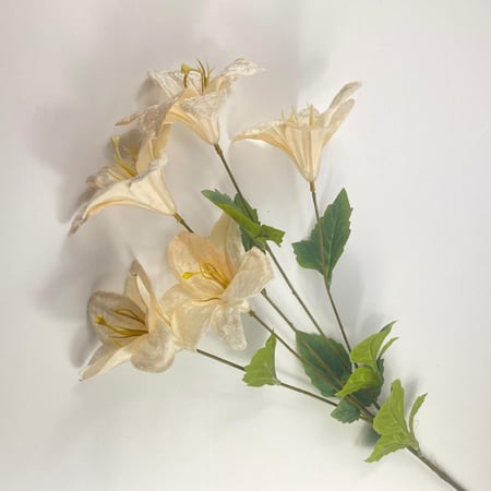 ليليوم قطيفة مقاس كبير