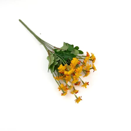 تباع الشمس بيبي