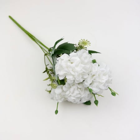 ورد بيبي كريز