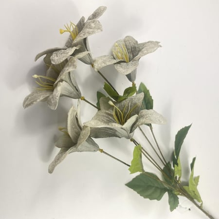 ليليوم قطيفة مقاس كبير