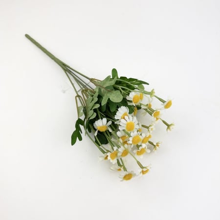 تباع الشمس بيبي