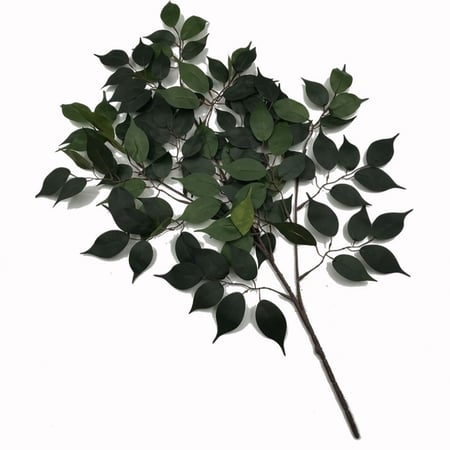 درزن أغصان فايكس (12 غصن)