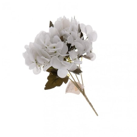 ورد بيبي هيدرنجا لون حلو