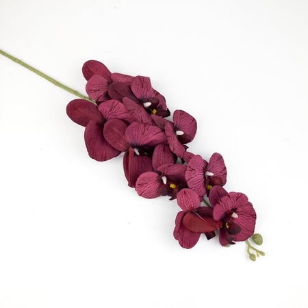 ورد الاوركيد