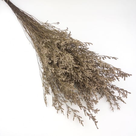 اغصان تنسيق طبيعية مجففة