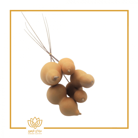 أغصان طبيعية مجففة