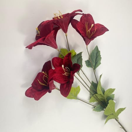 ليليوم قطيفة مقاس كبير