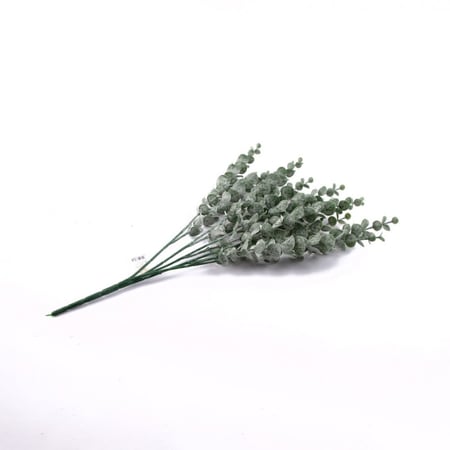 بانش كليبتوس صناعي