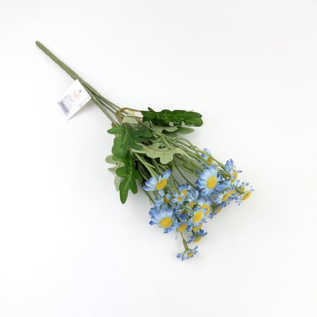 تباع الشمس بيبي