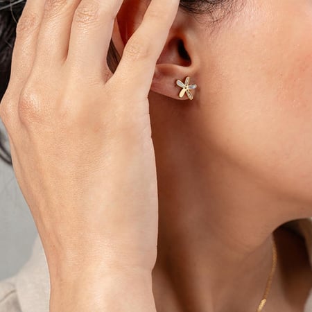 حلق كارديال 255033