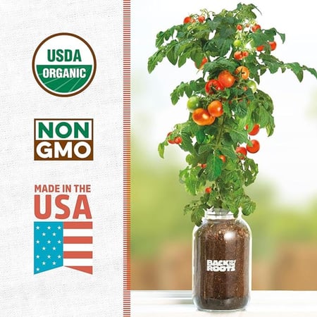 الزارعة من النافذة: الطماطم الكرزية العضوية من Back to the Roots®