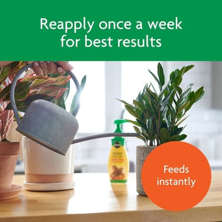 غذاء نباتات داخلي (سائل) بلوبيلز من ميركل-جرو، 8 اونصة، يغذي جميع النباتات المنزلية الداخلية - بما في ذلك النباتات القابلة للاكل