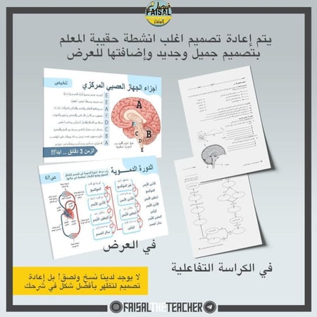 عرض درس البكتيريا