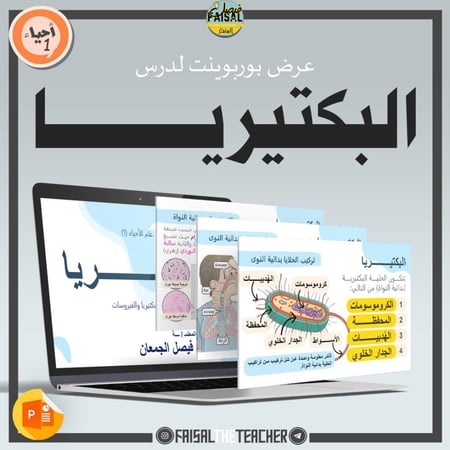 عرض درس البكتيريا