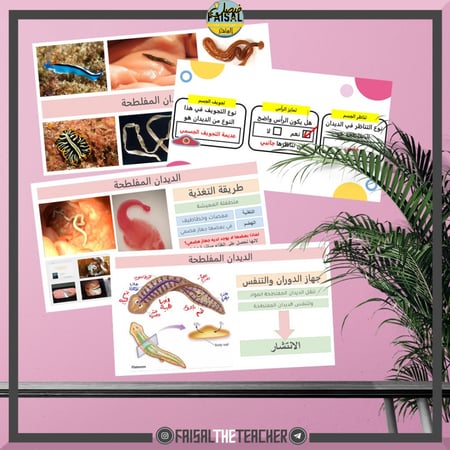 عرض بوربوينت تفاعلي لدرس الديدان المفلطحة - احياء1
