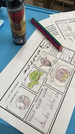 عرض درس الزواحف