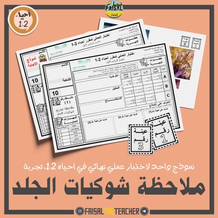 نموذج اختبار عملي في تجربة ملاحظة شوكيات الجلد
