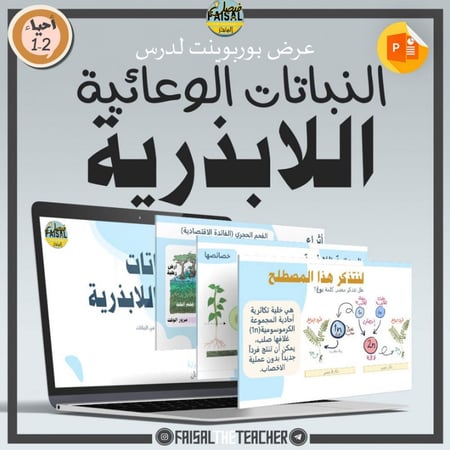 عرض لدرس النباتات الوعائية اللابذرية