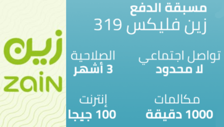 زين فليكس 319